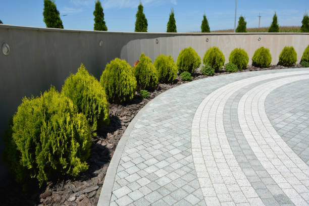 Best Permeable Paver Driveway  in Archbald, PA